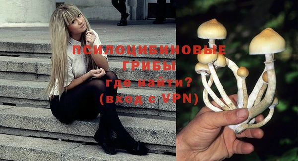 дмт Михайлов