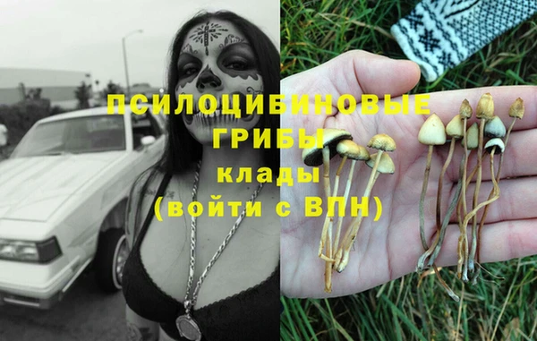 дмт Михайлов