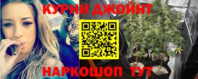 гидропоника Будённовск