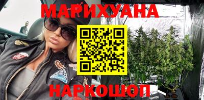 гидропоника Будённовск