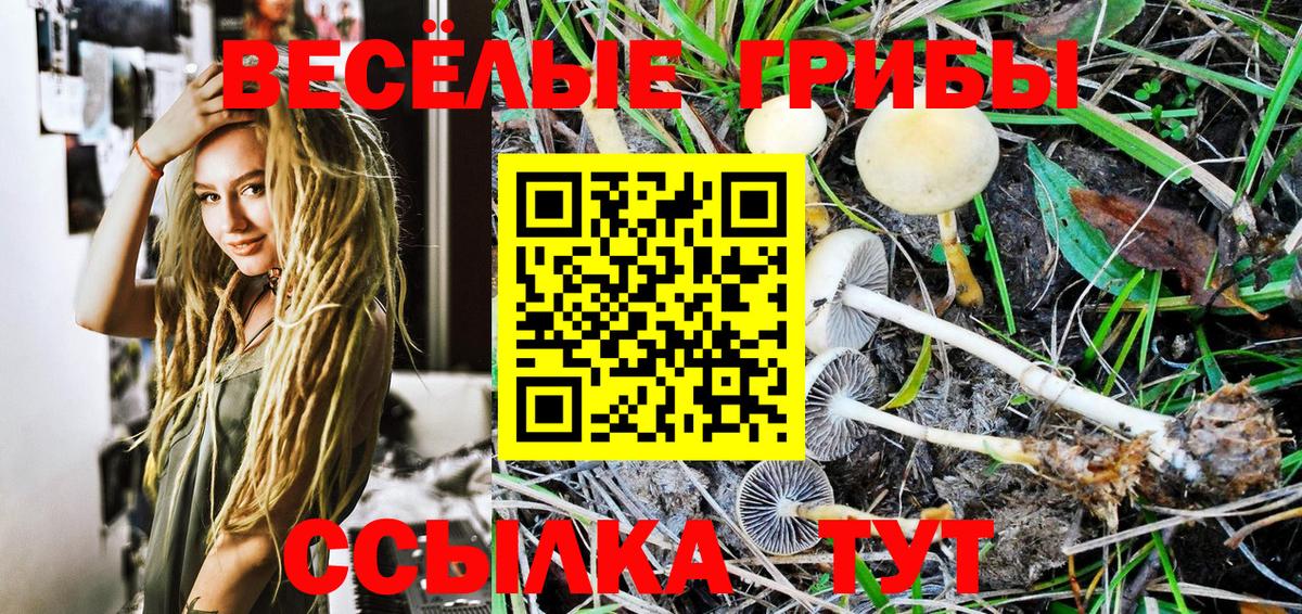 Псилоцибиновые грибы ЛСД  Егорьевск 